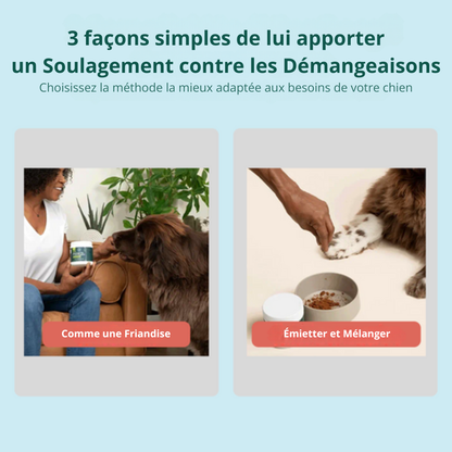 Anti-Démangeaisons